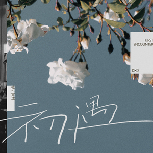 何丽萍宝丁酒店
