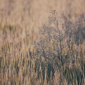 何丽萍宝丁酒店
